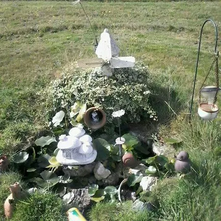 O Ollo Do Mar * Viveiro